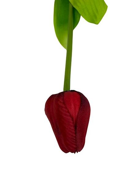 Tulipan gałązka 49 cm czerwony
