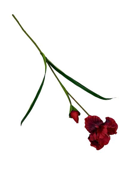 Irys piankowy gałązka 85 cm czerwony