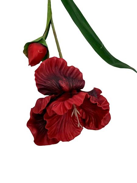 Irys piankowy gałązka 85 cm czerwony