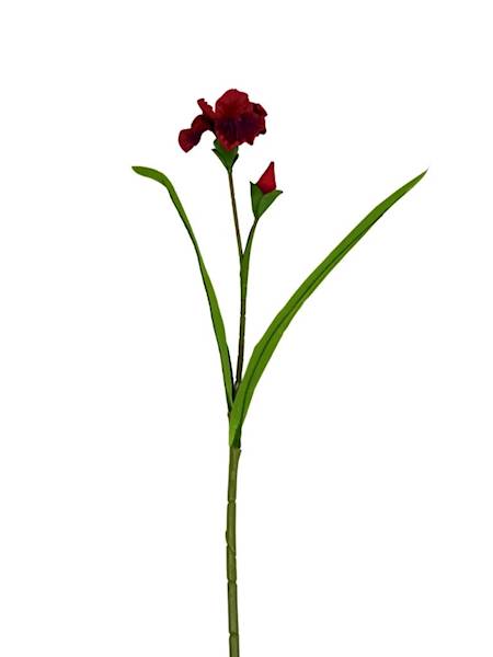 Irys piankowy gałązka 85 cm czerwony