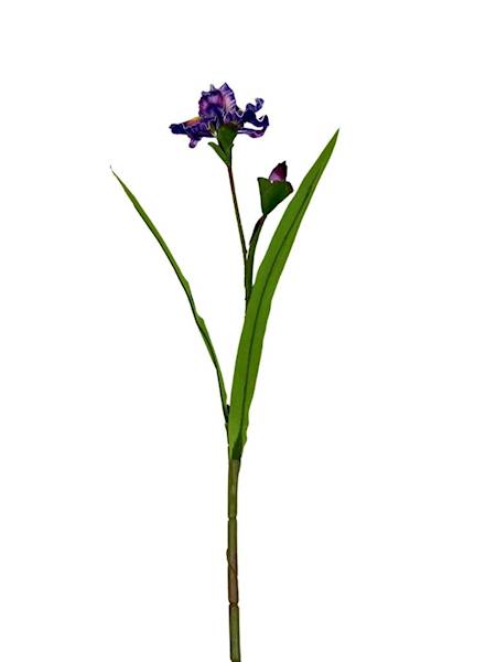 Irys piankowy gałązka 85 cm fioletowy