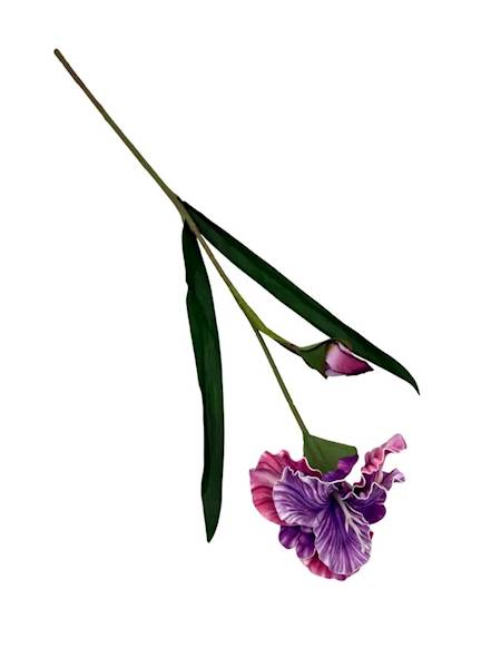 Irys piankowy gałązka 85 cm fiolet z różem