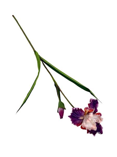 Irys piankowy gałązka 85 cm fiolet z kremowym