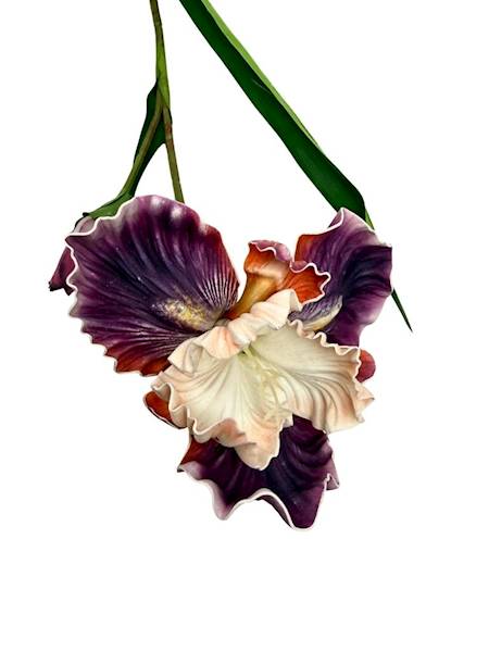 Irys piankowy gałązka 85 cm fiolet z kremowym