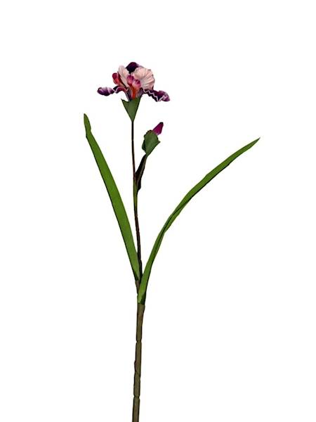 Irys piankowy gałązka 85 cm fiolet z kremowym