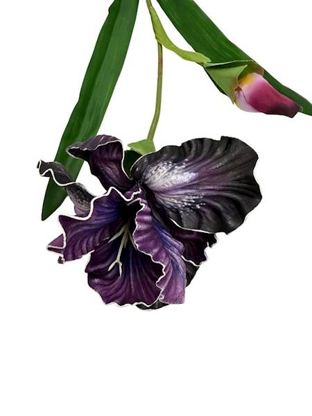 Irys piankowy gałązka 85 cm ciemny fiolet