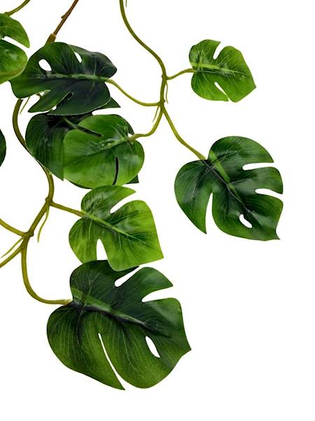 Liść monstera gałązka 48 cm