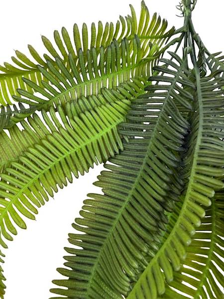 Bukiet paproć 46 cm