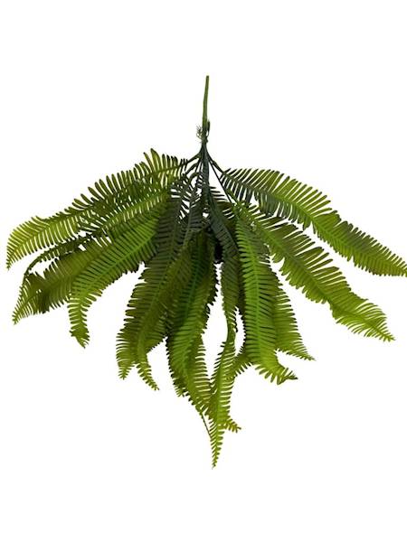 Bukiet paproć 46 cm