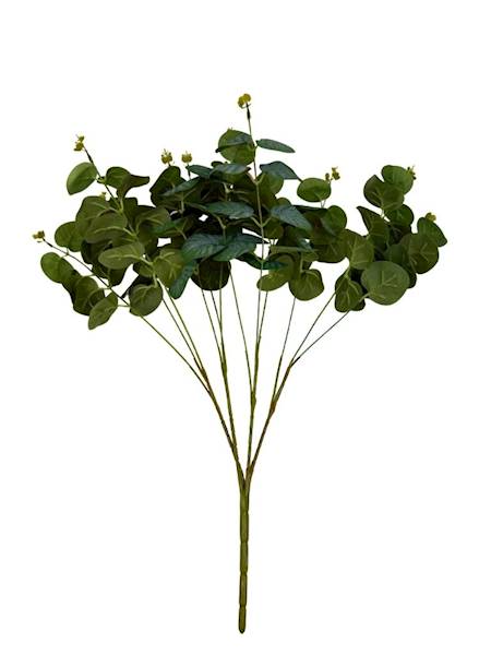 Bukiet eukaliptus 50 cm