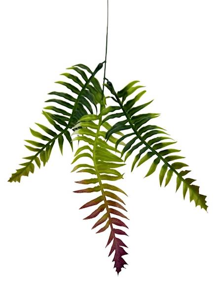 Paproć dodatek gałązka 58 cm zielona z bordo