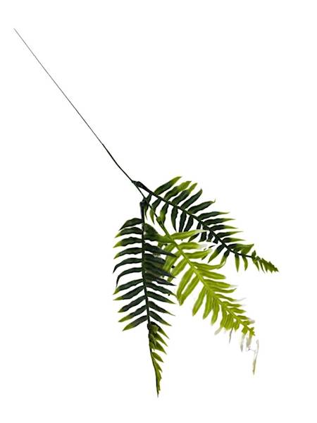 Paproć dodatek gałązka 58 cm zielona z białym