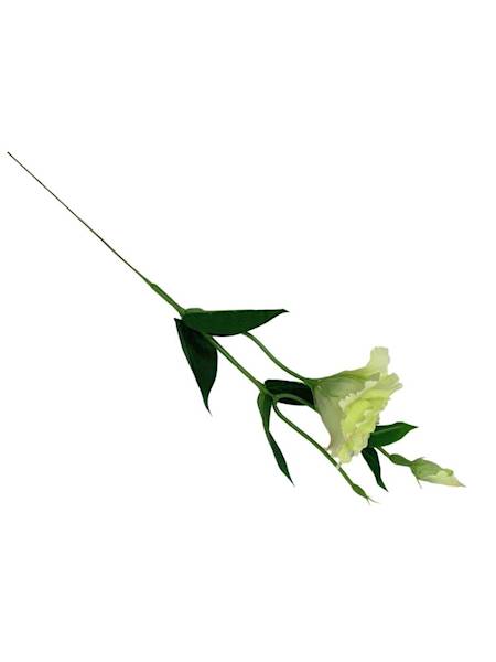 Eustoma gałązka 48 cm jasno zielona