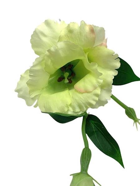 Eustoma gałązka 48 cm jasno zielona