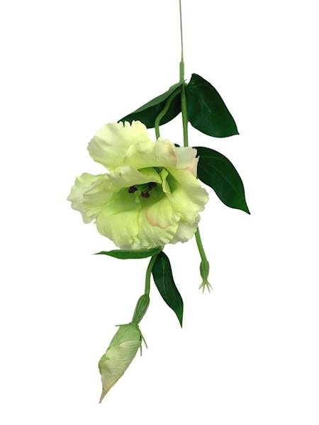 Eustoma gałązka 48 cm jasno zielona