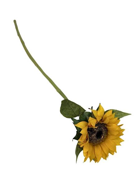 Słonecznik gałązka 66 cm