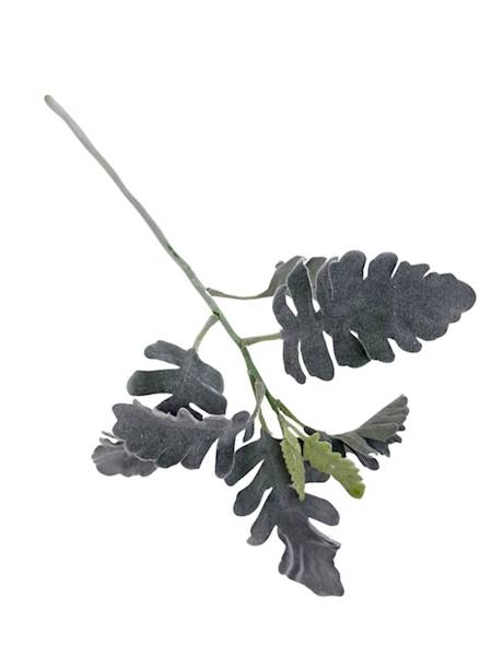 Starzec gałązka omszona 37 cm