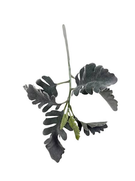 Starzec gałązka omszona 37 cm