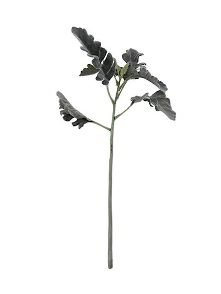 Starzec gałązka omszona 37 cm