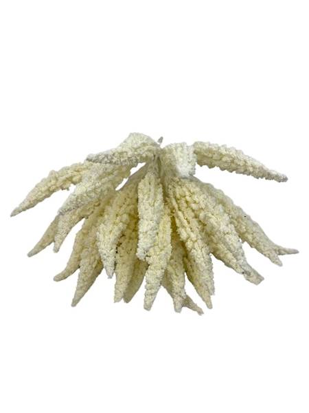 Wrzos bukiet 28 cm biały / jasny krem