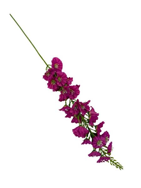 Łubin gałązka 64 cm ciemny róż