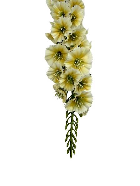 Łubin gałązka 64 cm żółty