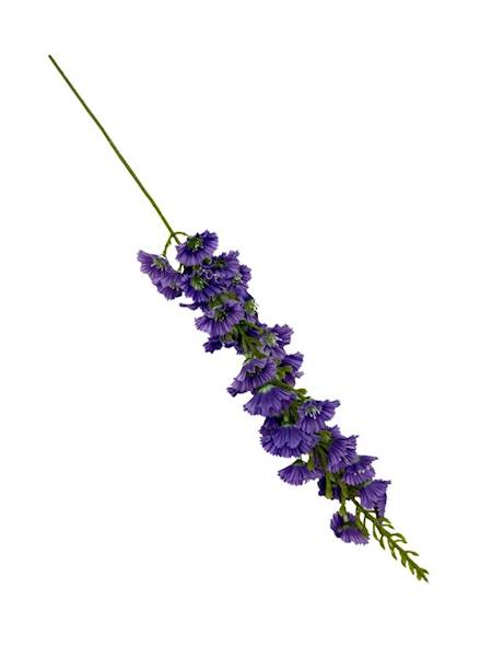 Łubin gałązka 64 cm fioletowy