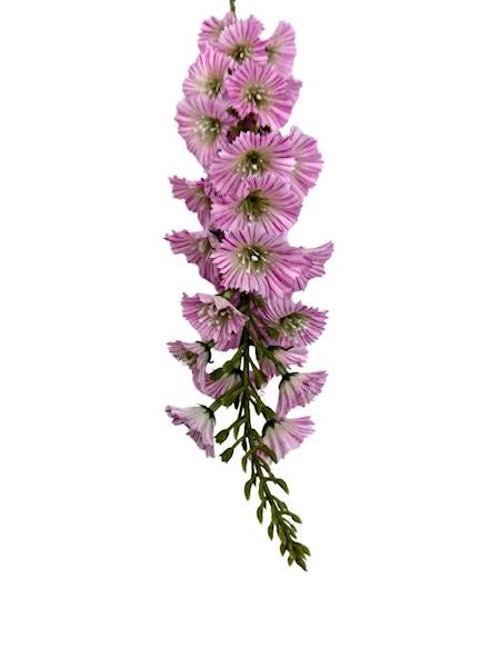 Łubin gałązka 64 cm różowy