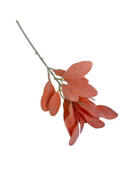 Starzec omszona gałązka 34 cm pomarańczowy