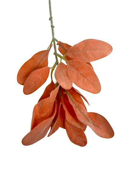 Starzec omszona gałązka 34 cm pomarańczowy