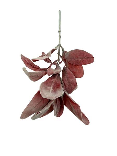 Starzec omszona gałązka 34 cm czerwony