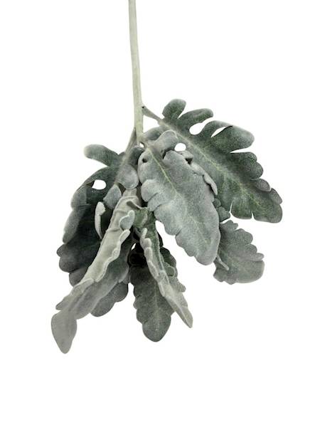 Starzec gałązka omszona 33 cm zielony