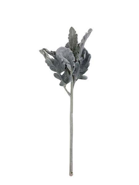 Starzec gałązka omszona 33 cm zielony