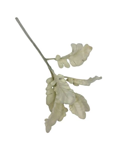 Starzec gałązka omszona 33 cm kremowy