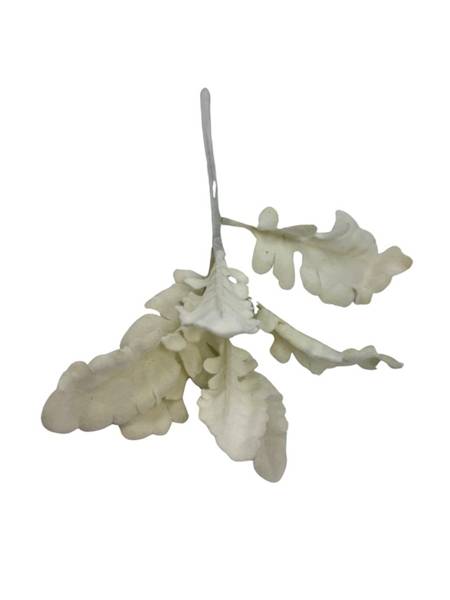 Starzec gałązka omszona 33 cm kremowy