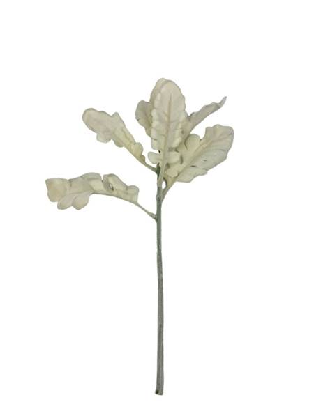 Starzec gałązka omszona 33 cm kremowy
