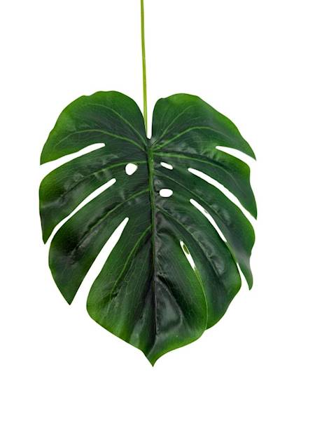Liść monstera gałązka 43 cm