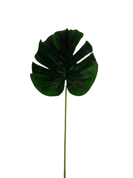 Liść monstera gałązka 43 cm