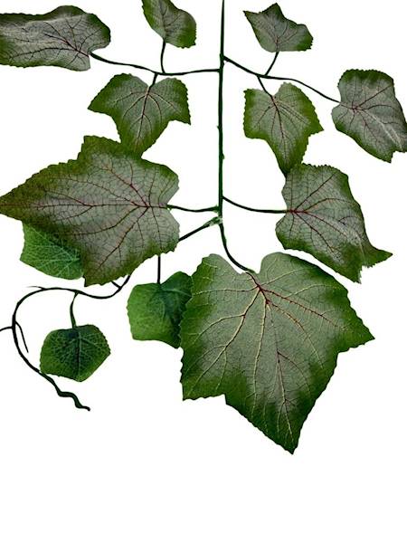 Liść winogron gałązka 55 cm