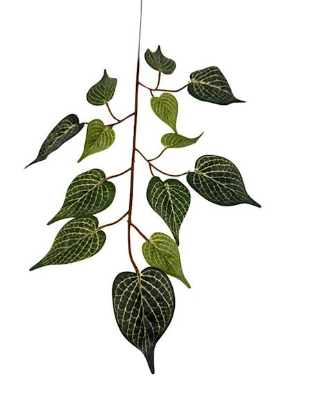 Liść z żyłkami gałązka 50 cm