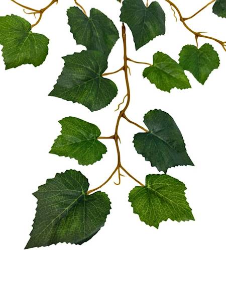 Liść gałązka 50 cm zielony