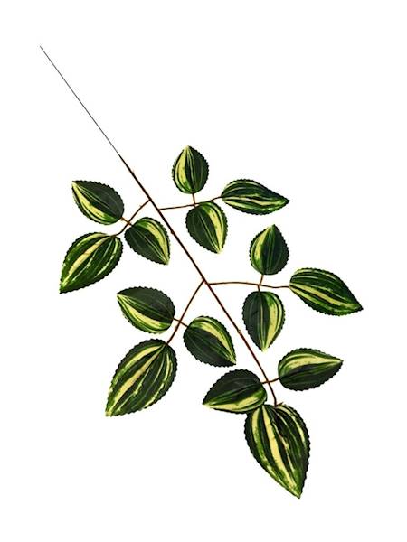 Liść trzykrotki 54 cm zielono żółty