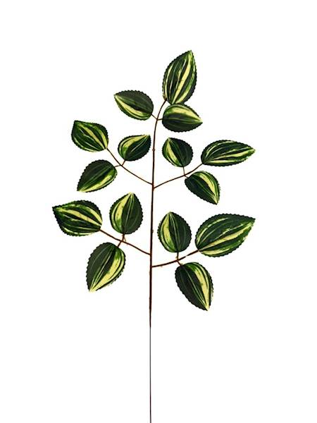 Liść trzykrotki 54 cm zielono żółty