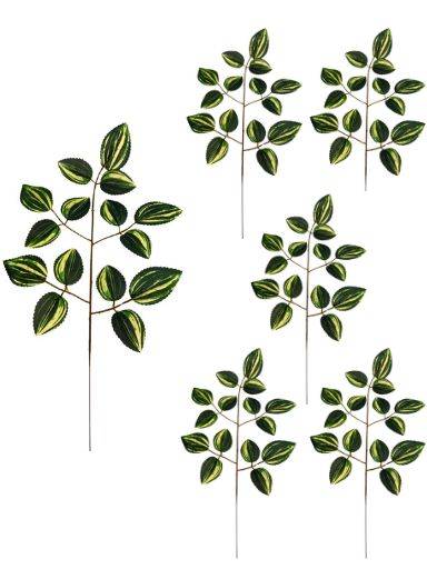 Liść trzykrotki 54 cm zielono kremoway 6 sztuk