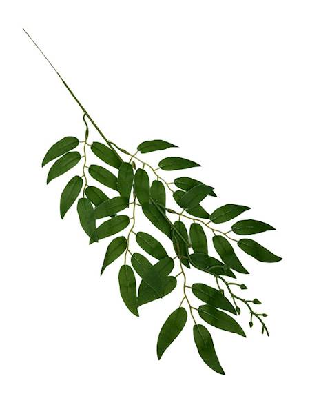 Ruskus gałązka 50 cm zielony