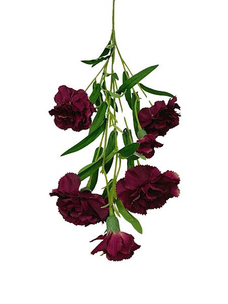 Goździk gałązka 73 cm bordo