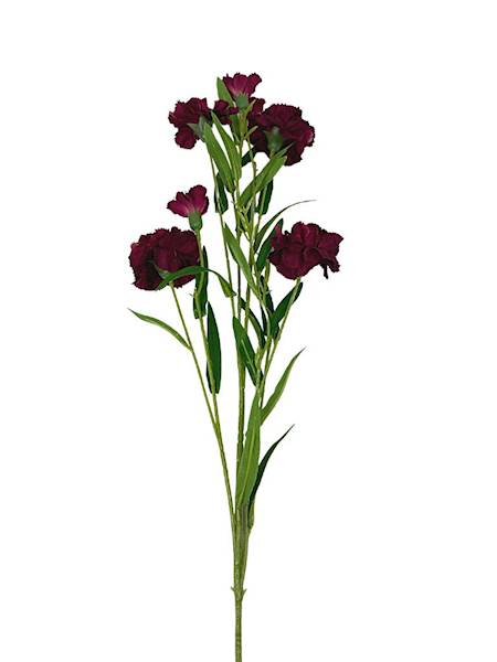 Goździk gałązka 73 cm bordo