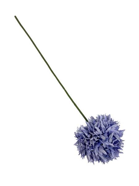 Czosnek chryzantema gałązka 45 cm niebieski 