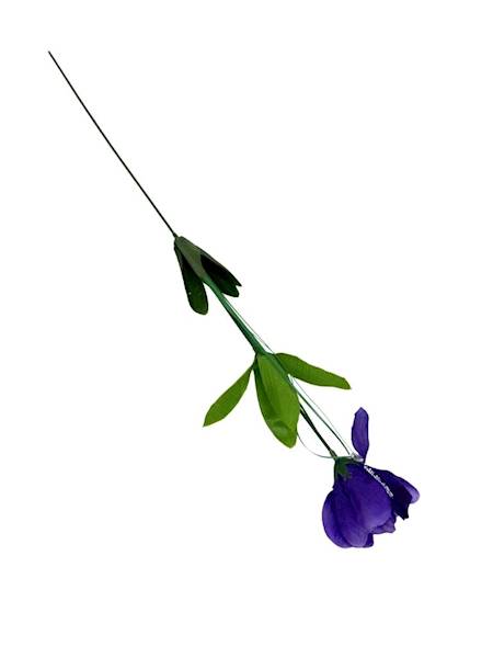 Irys gałązka 49 cm