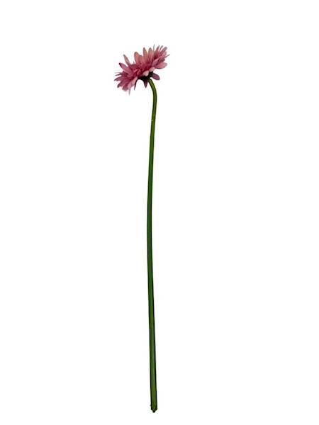 Gerbera gałązka 49 cm brudny róż